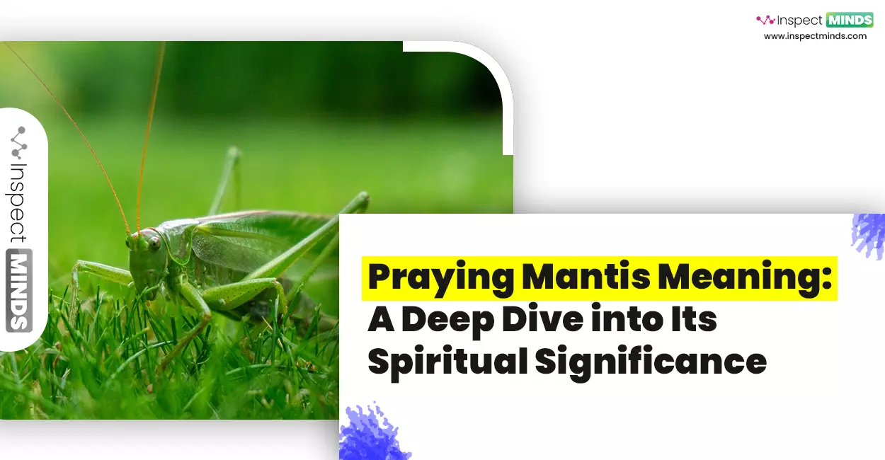 praying mantis meaning