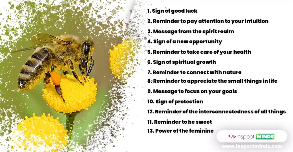 Spiritual Meanings of Bees Flying Around You 