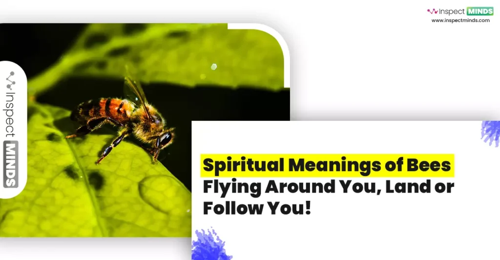 spiritual meanings of bees